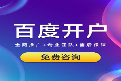 竞价广告赚钱秘籍：百度实战案例